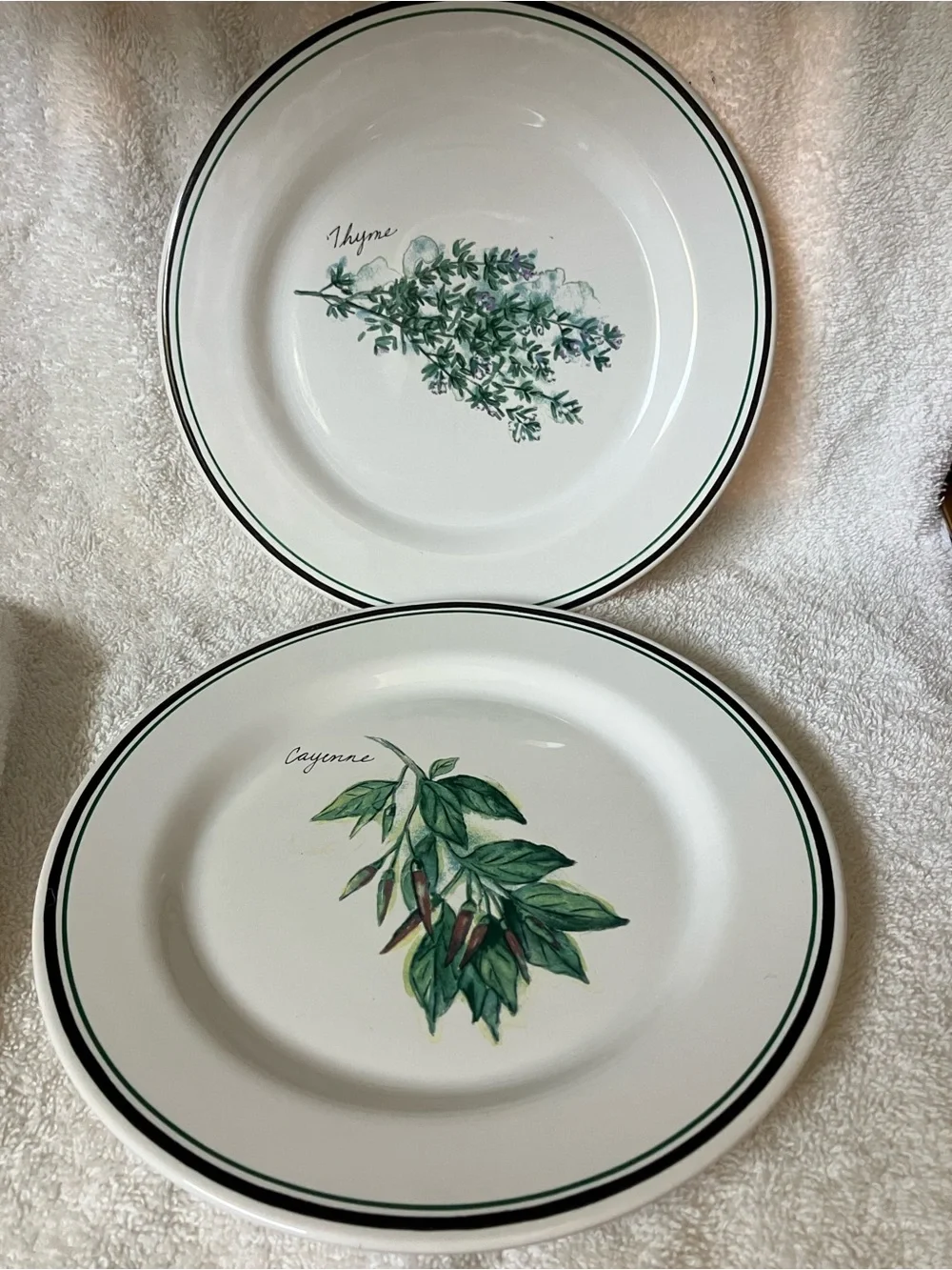 2 Williams Sonoma Ceramic Herb Salad Plates Green Accents 8 3/8” Cayenne Thyme